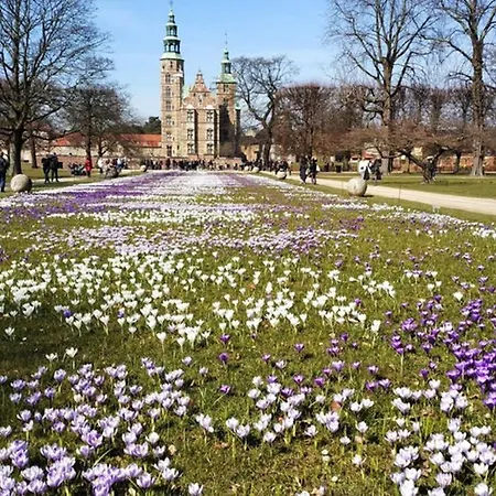 Exclusive And - Private Roof Terrace! Köpenhamn