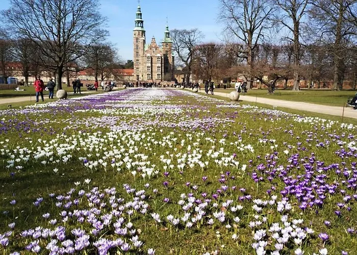 Exclusive And - Private Roof Terrace! Copenhagen